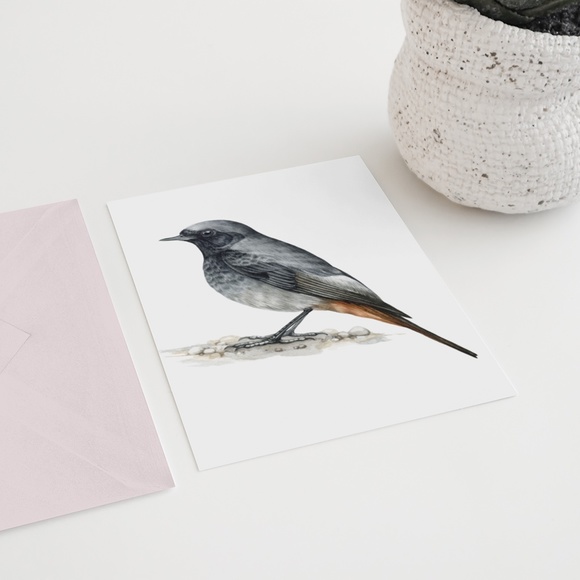 Redstart Bird Wall Art Watercolor Illustration Print Poster Card Unframed - Picture 7 of 7